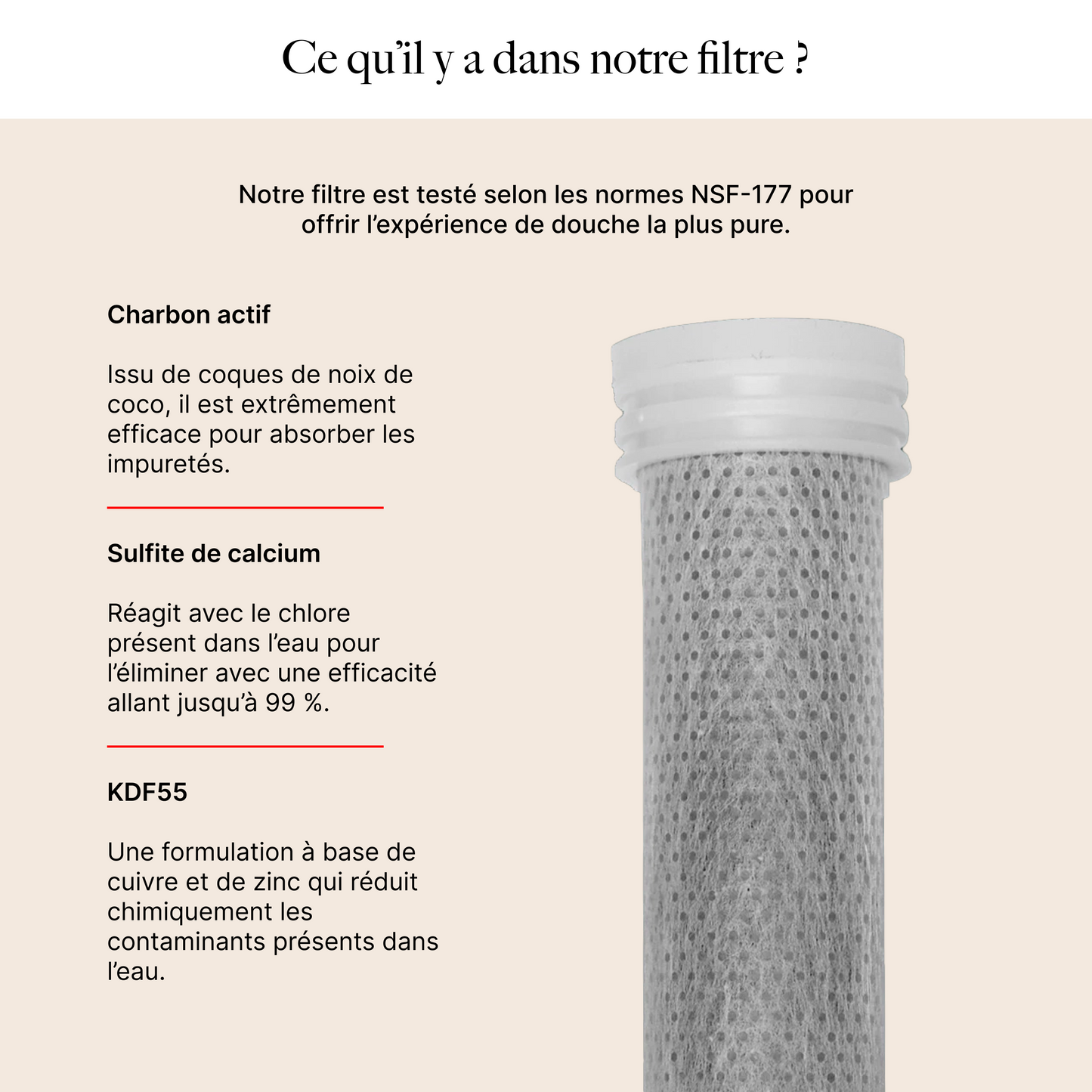 Pommeau de Douche Filtrant