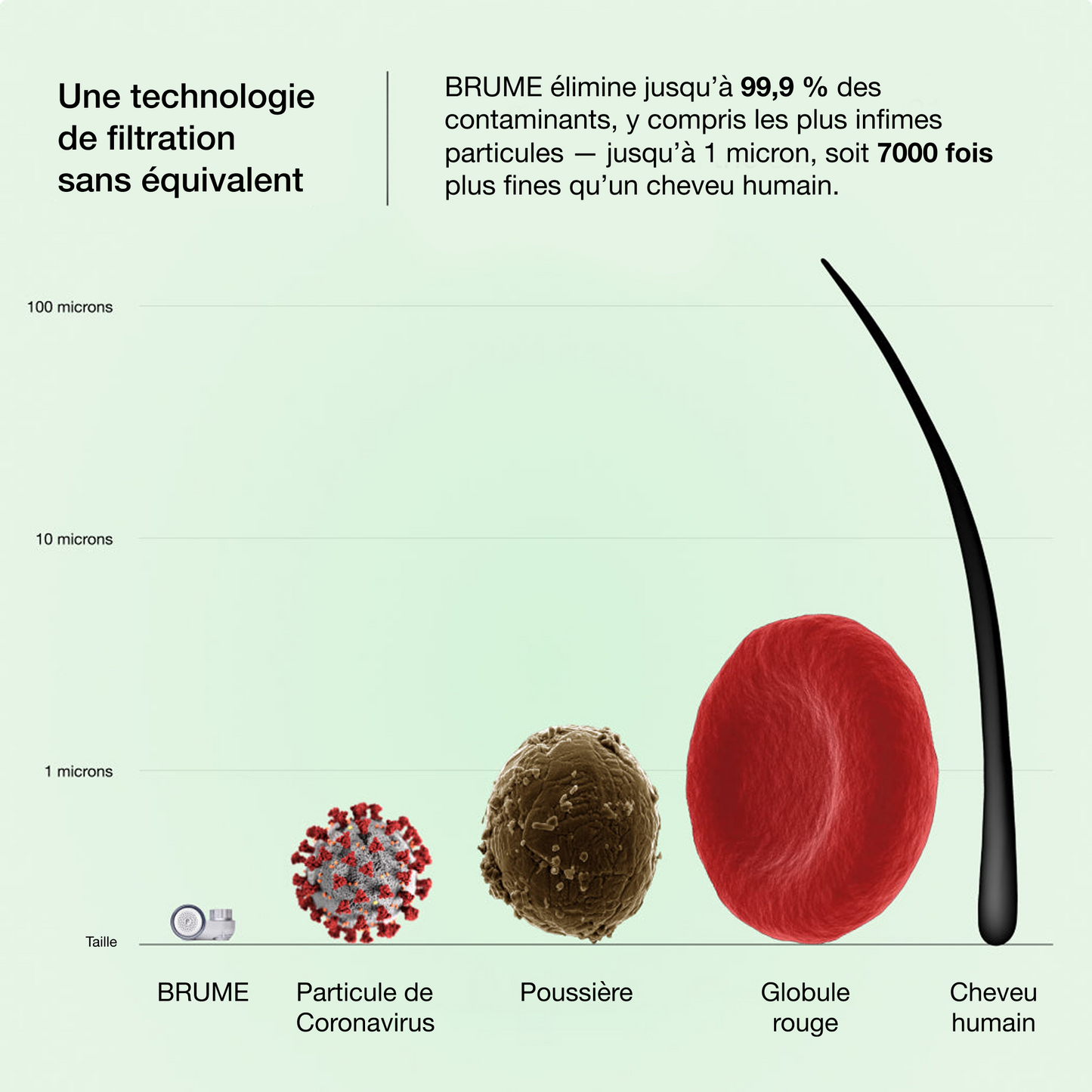 Filtre de robinet BRUME