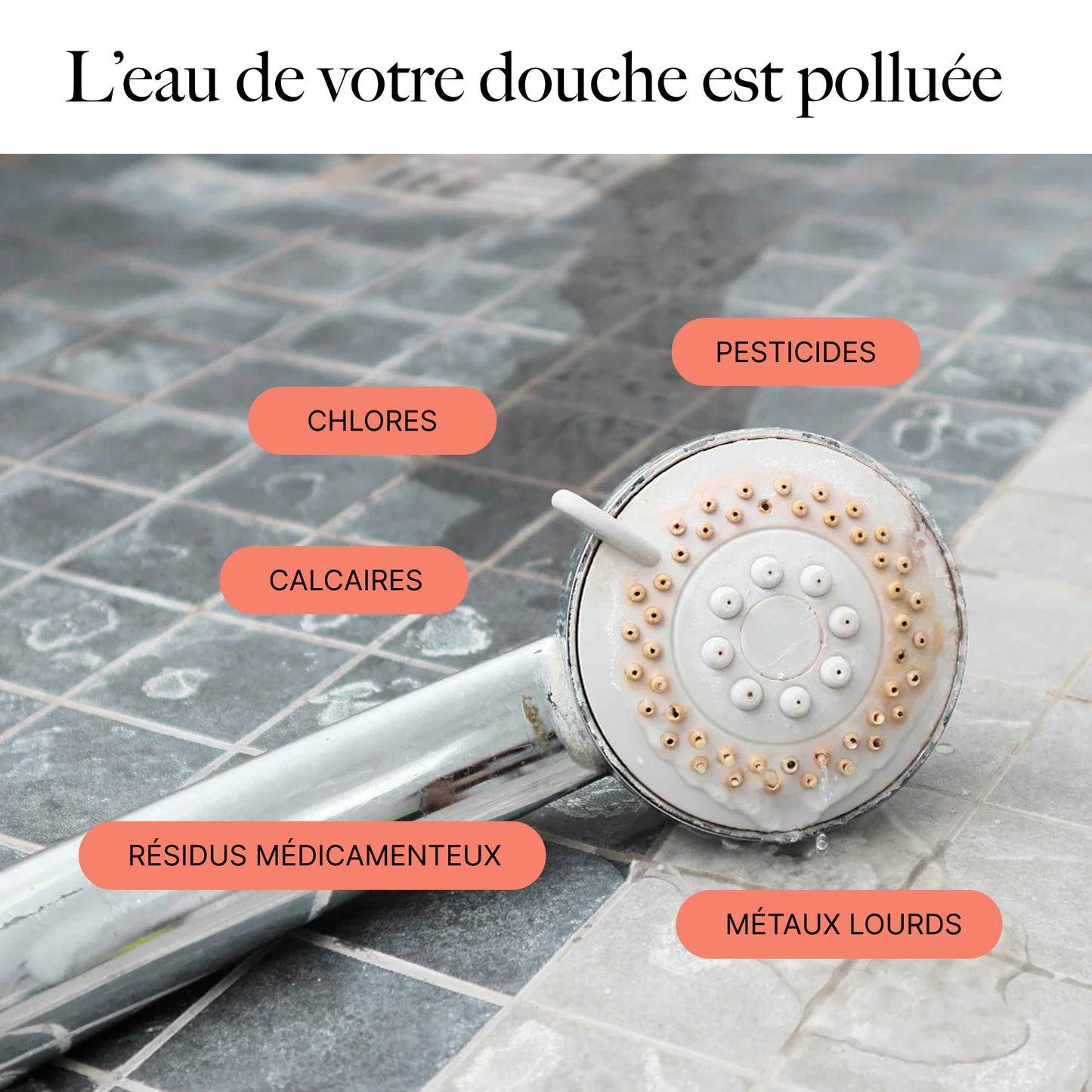Pommeau de Douche Filtrant