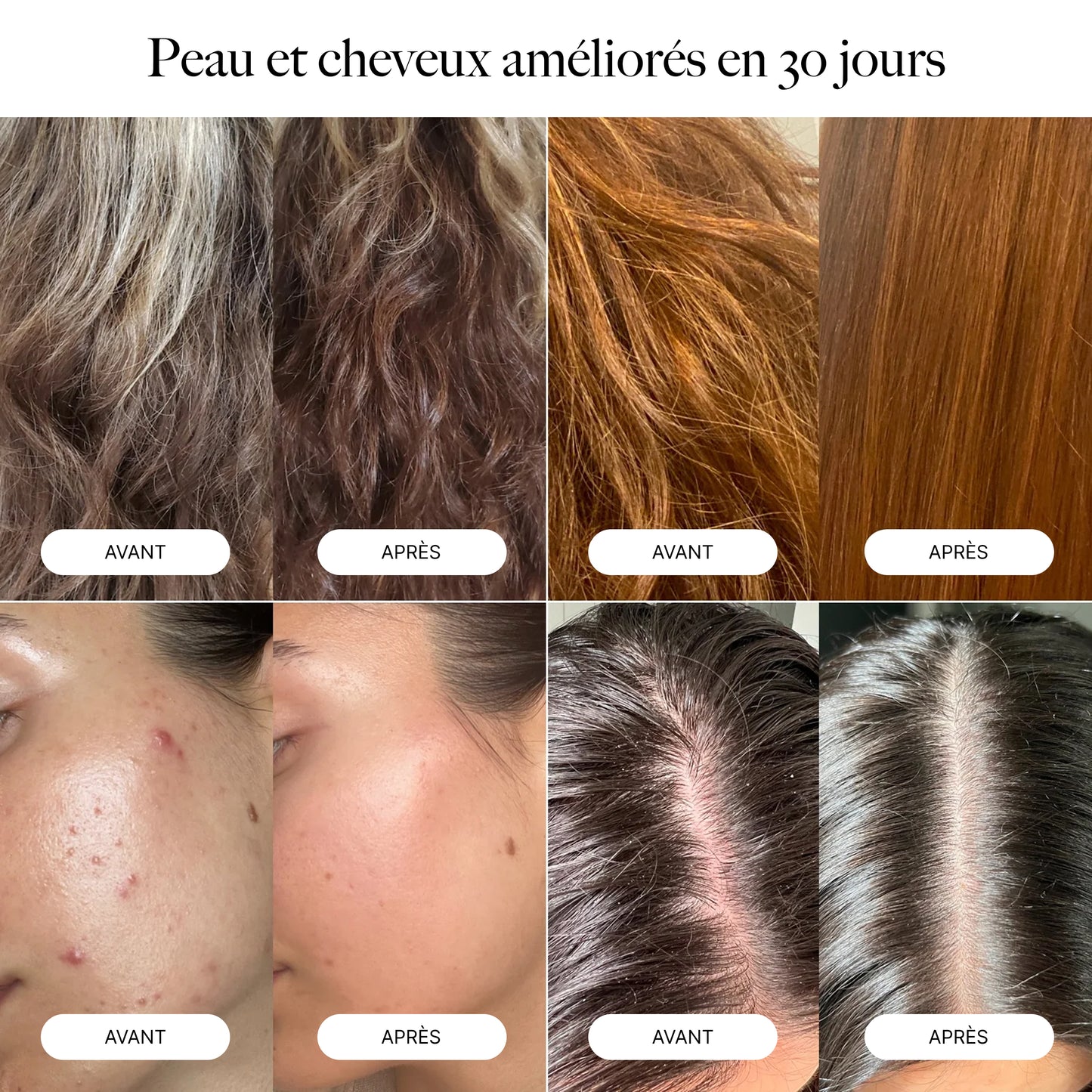 Pommeau de Douche Filtrant